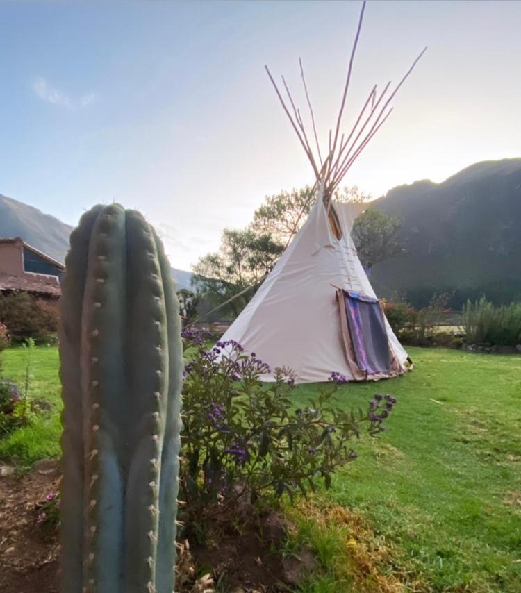 Sonqo Andino Hospedaje Medicina Pisac Exterior foto